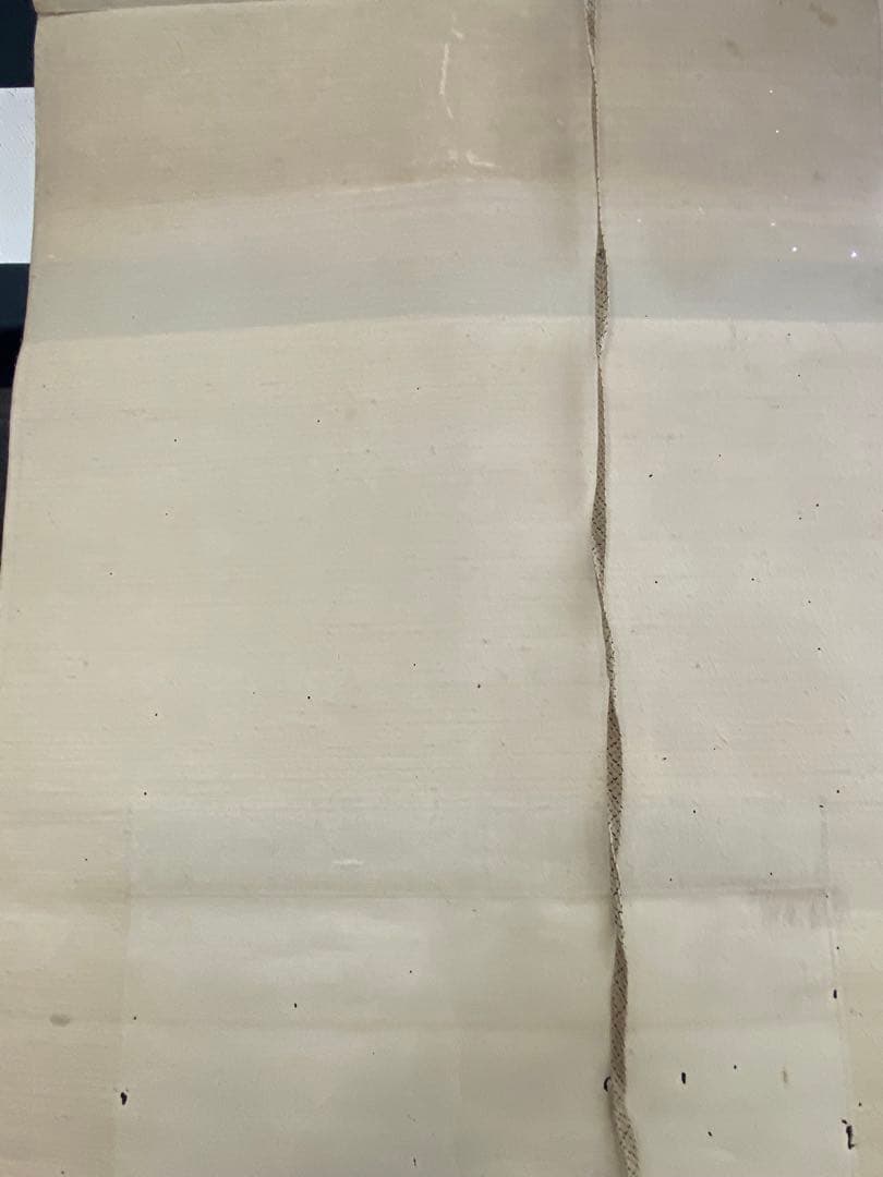 3-2274 掛軸　模写　伊藤若仲　鶏之図　双鶏