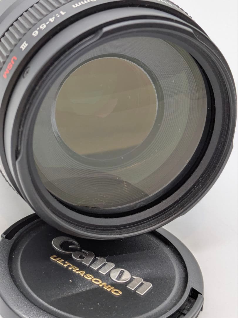 Canon EOS KissIII ダブルレンズキット フィルム カメラ