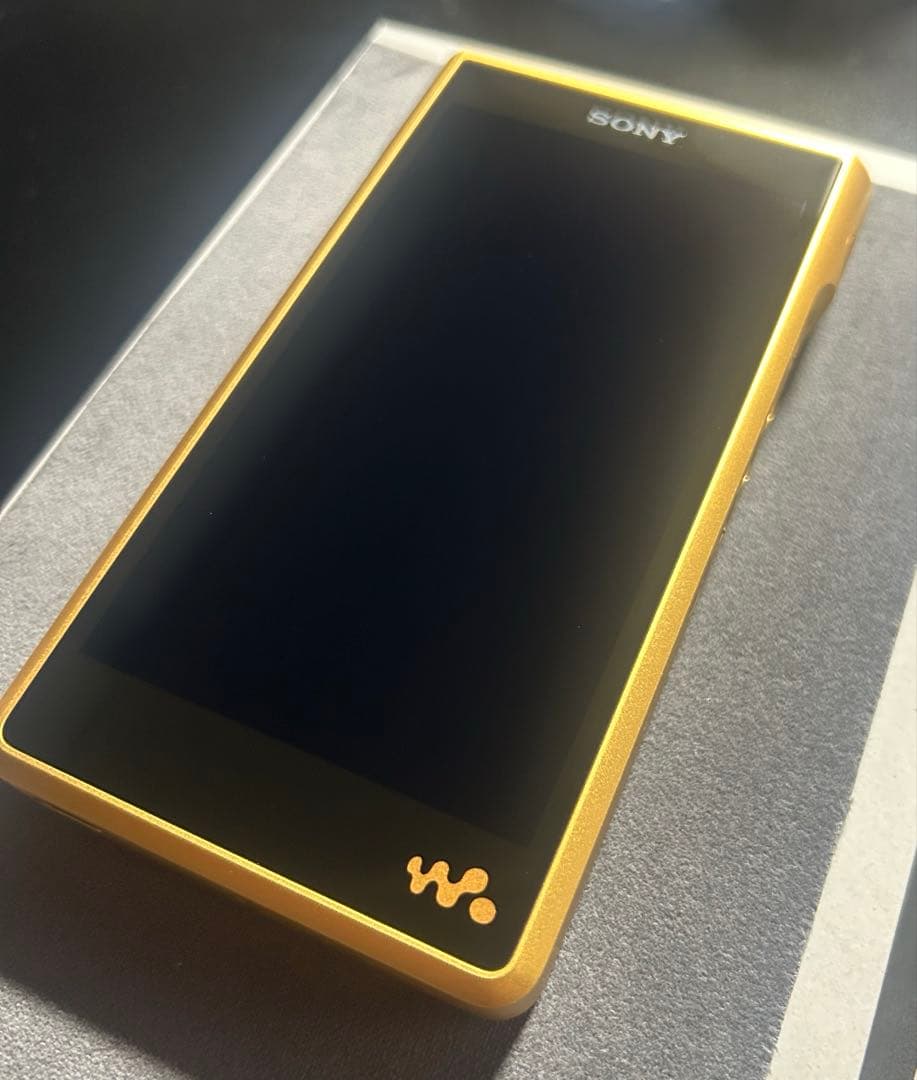 NW-WM1ZM2本体＋レザーケース