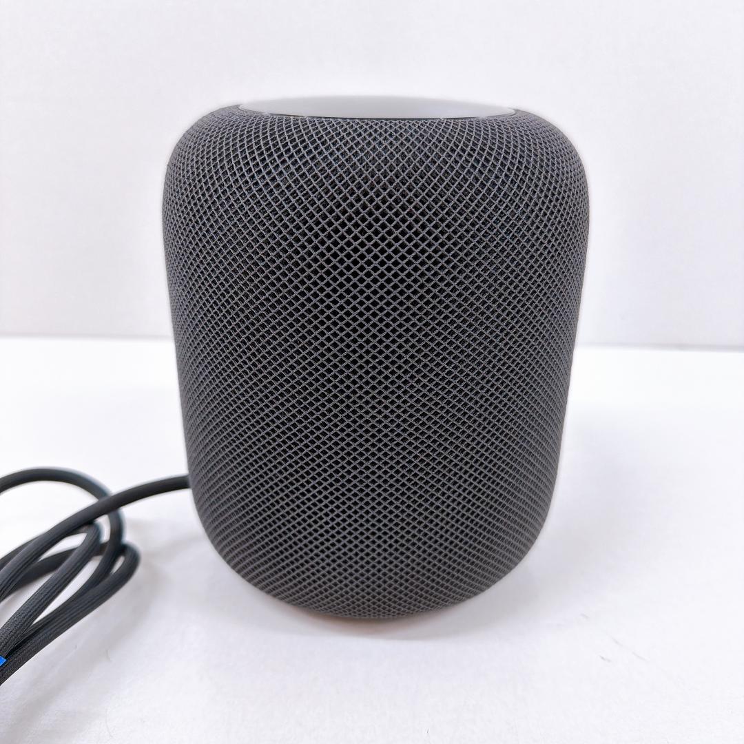 【美品】Apple Pod 第一世代 A1639 スペースグレー