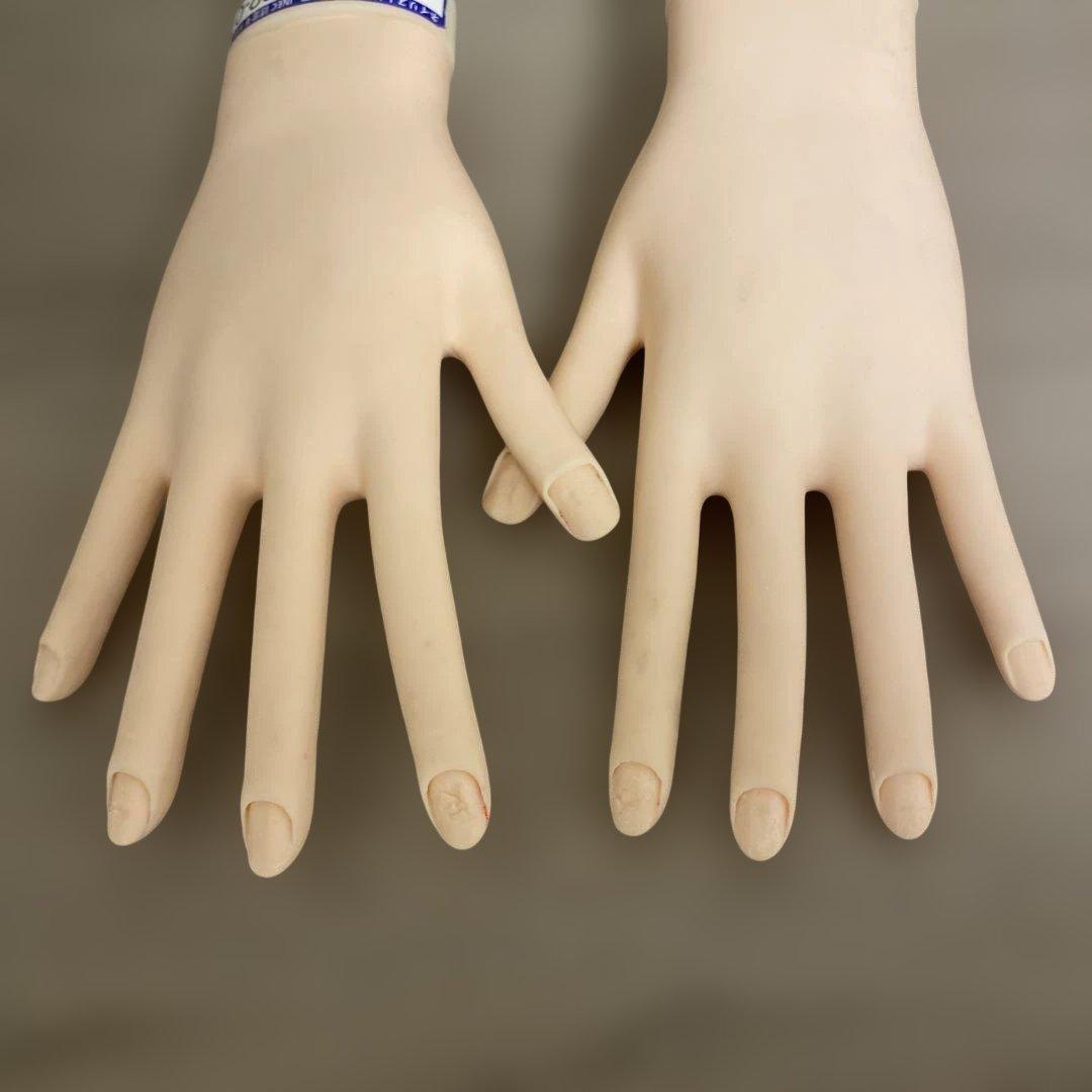 JNEC認定モデルハンド(両手) セット