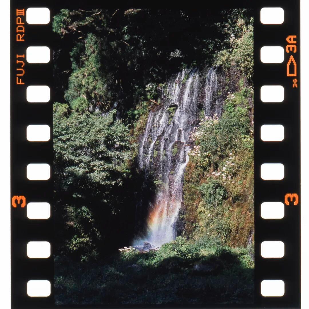 整備済 初期型 pentax lx +50 1.4 レンズ フールセット