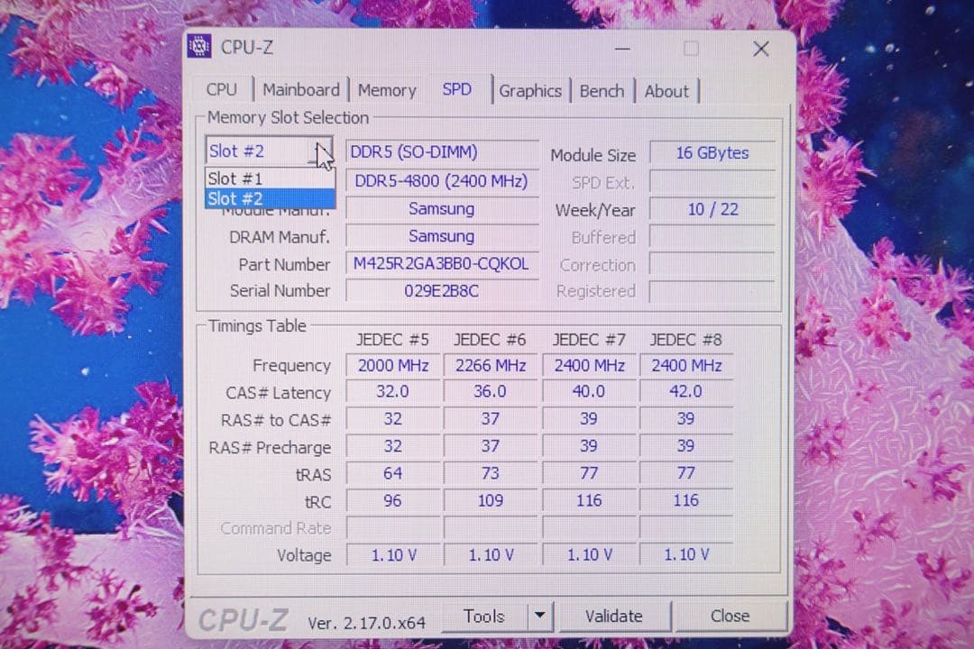 DELL G15 5521 SpecialEditionゲーミングノート【訳有】