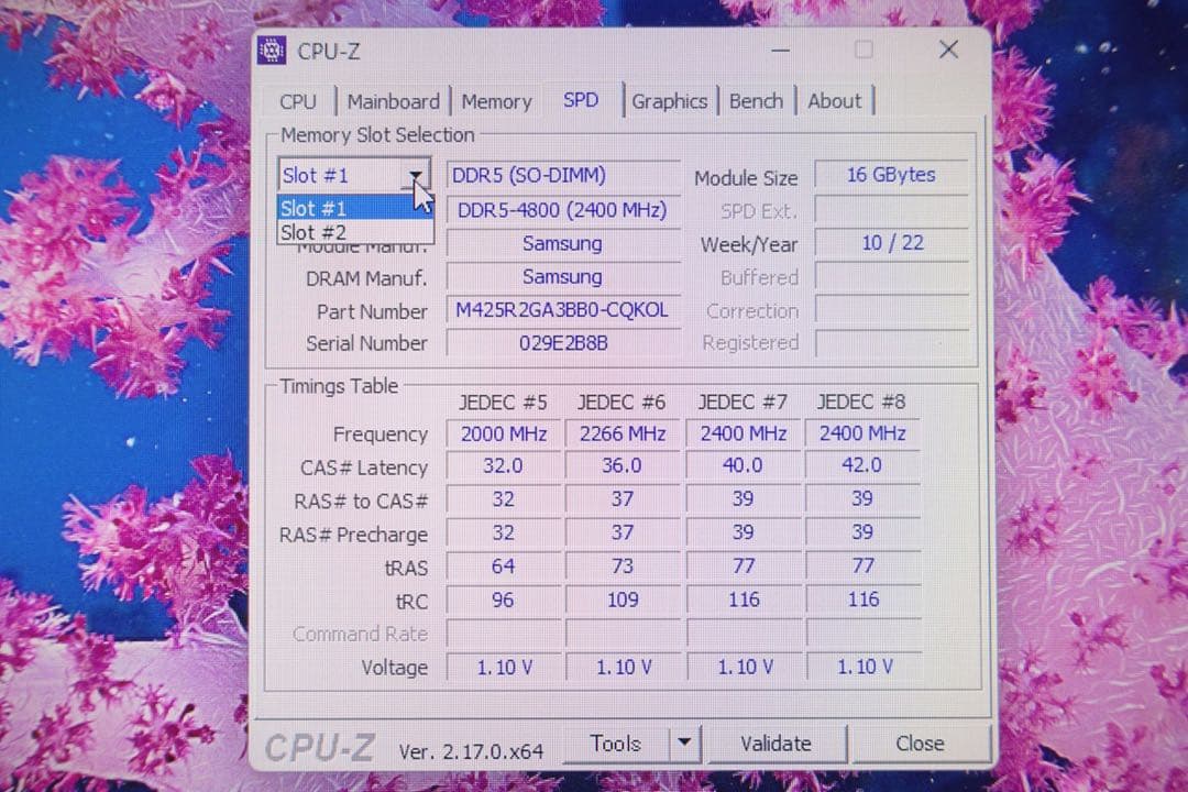 DELL G15 5521 SpecialEditionゲーミングノート【訳有】