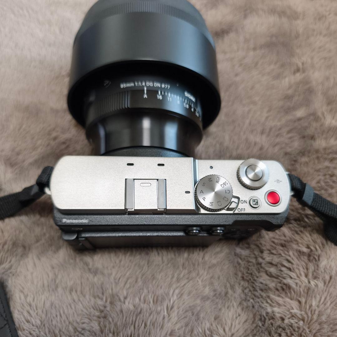 LUMIX S9 ダークシルバー【ボディのみ】