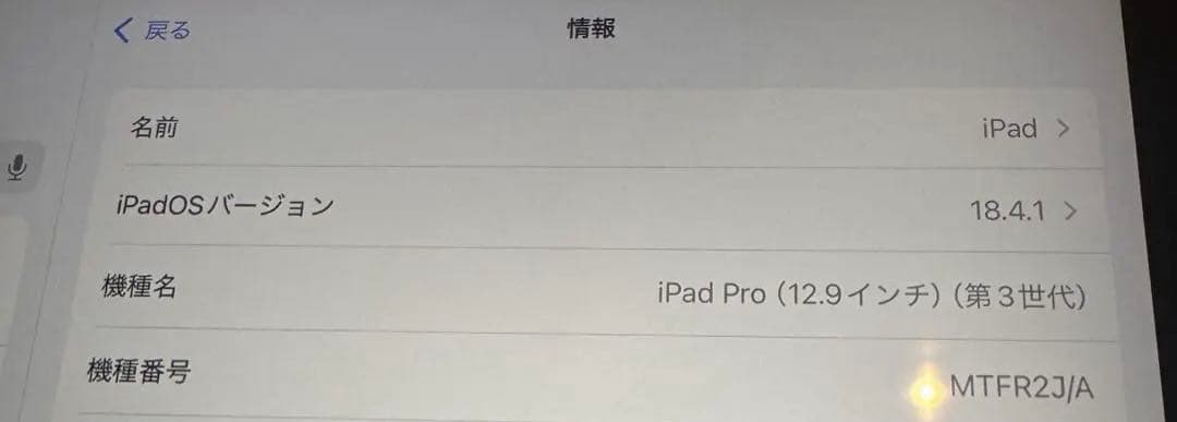 極美品 iPad pro 12.9 3世代 1TB スペースグレイ Wi-Fi