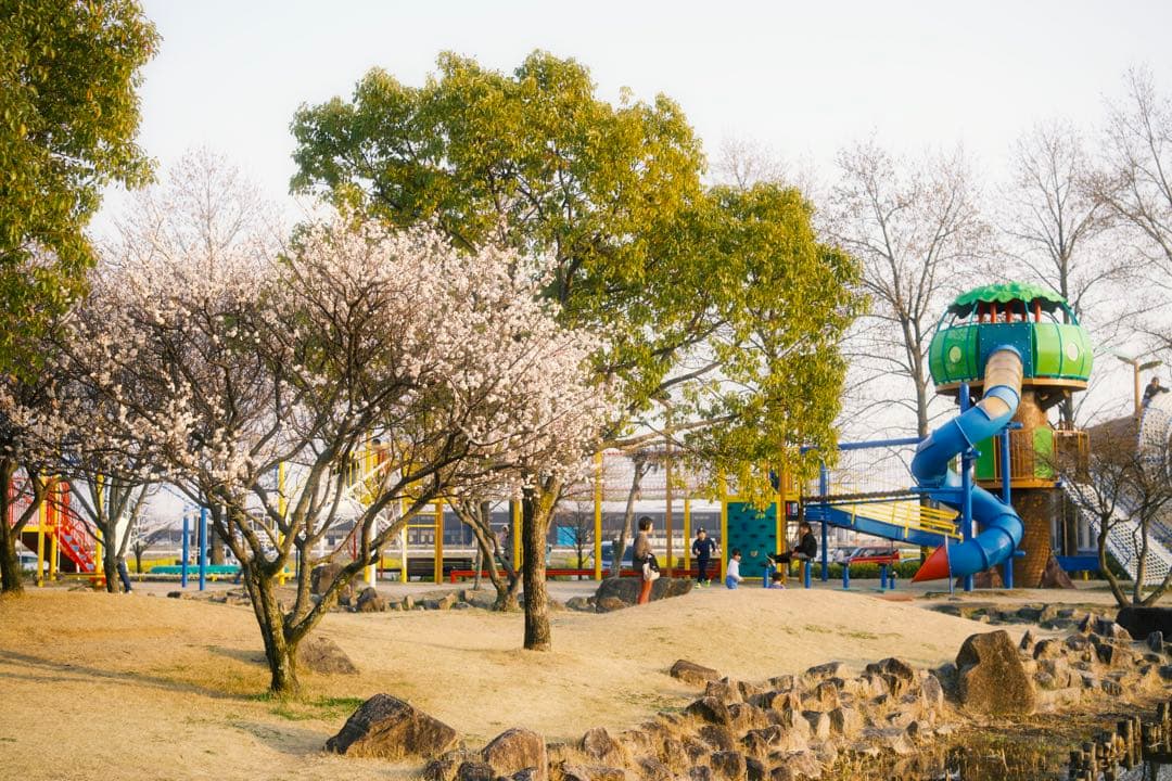 【作例あり】VILTROX AF 35mm F1.7 Z Nikon