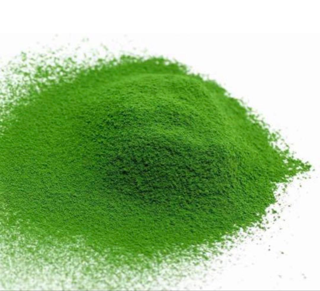 丸久小山園　抹茶　若竹100g×２袋