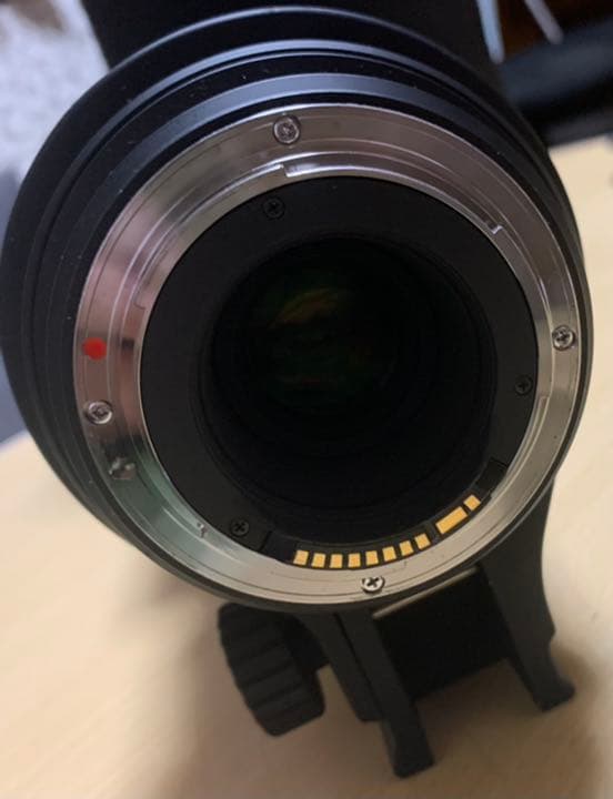 SIGMA超望遠レンズAPO150-500mm F5-6.3 DG OS HSM