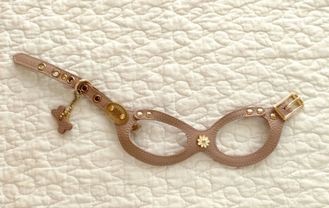 バディベルト2号＆リードセット 人気色ラテ