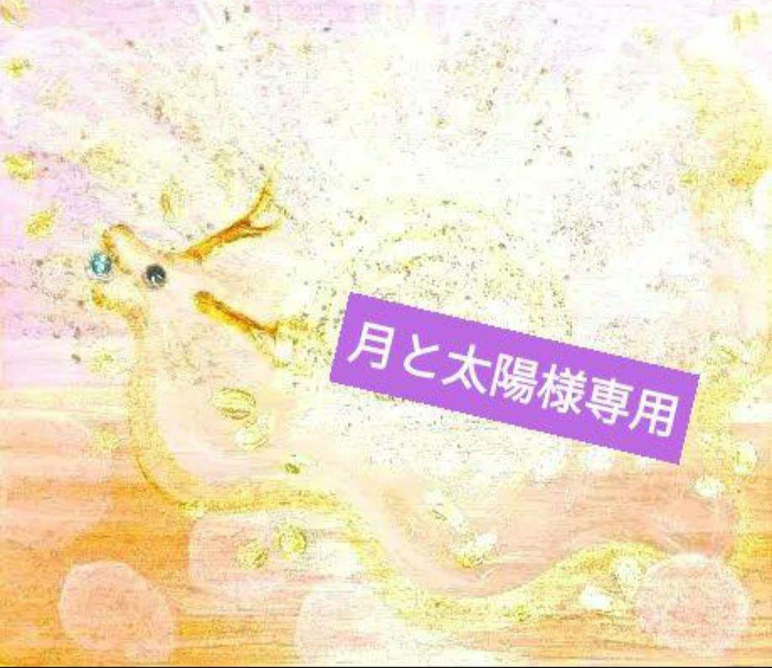 月と太陽　『全龍』ダイナミックに