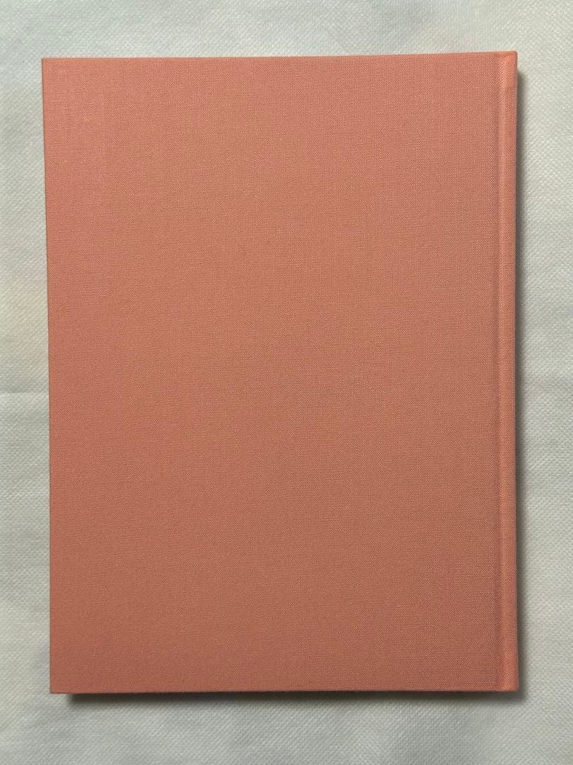 平子雄一 GIFT YUICHI HIRAKO サイン ドローイング入