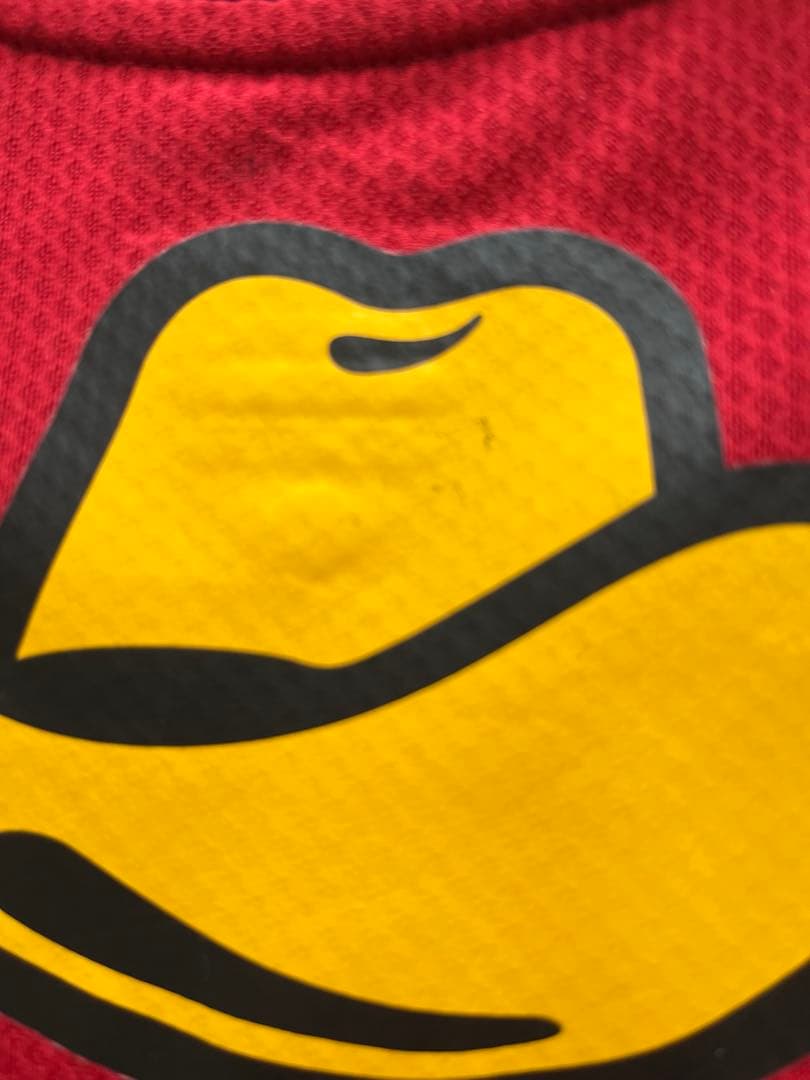 商品説明必読　大迫勇也　選手支給ユニフォーム　鹿島アントラーズ　2012