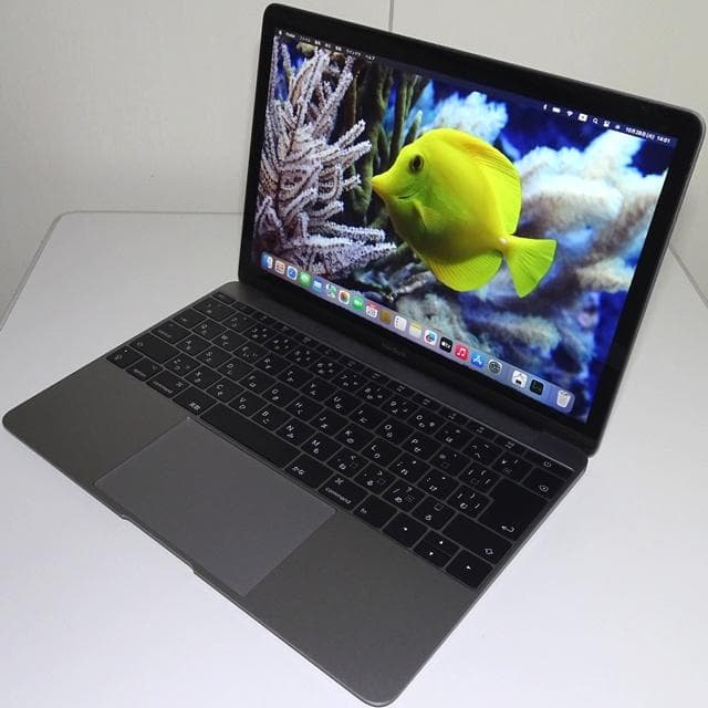 MacBook本体 MacBook 2017 i5/8GB/512GB_SPG