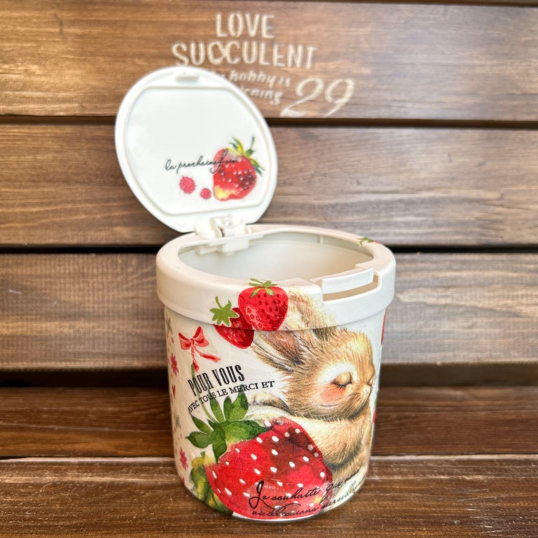 売切れ　リメイク　綿棒ケース　 大きな苺とおねむなうさぎさん