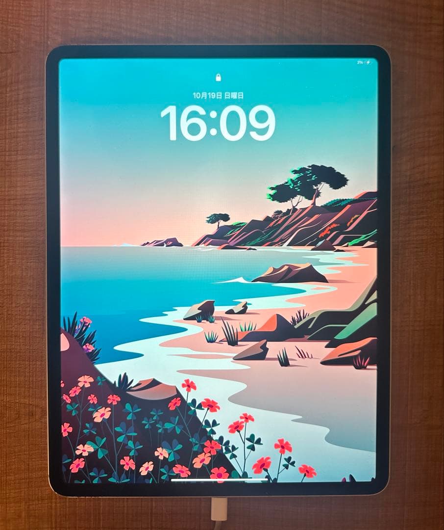 第4世代iPadPro 12.9インチ512GB cellularモデル(箱付)