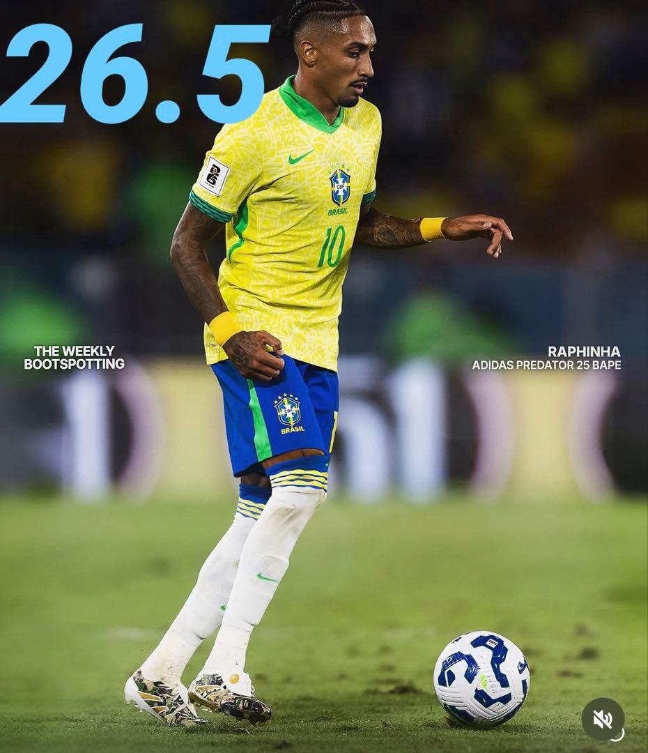 BAPE ADIDAS PREDATOR ELITE FT FG プレデター