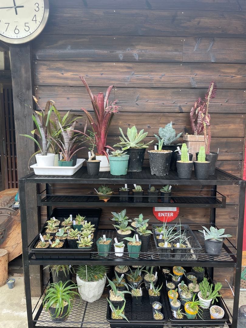 ワイド1200mm アイアンシェルフ　植物棚