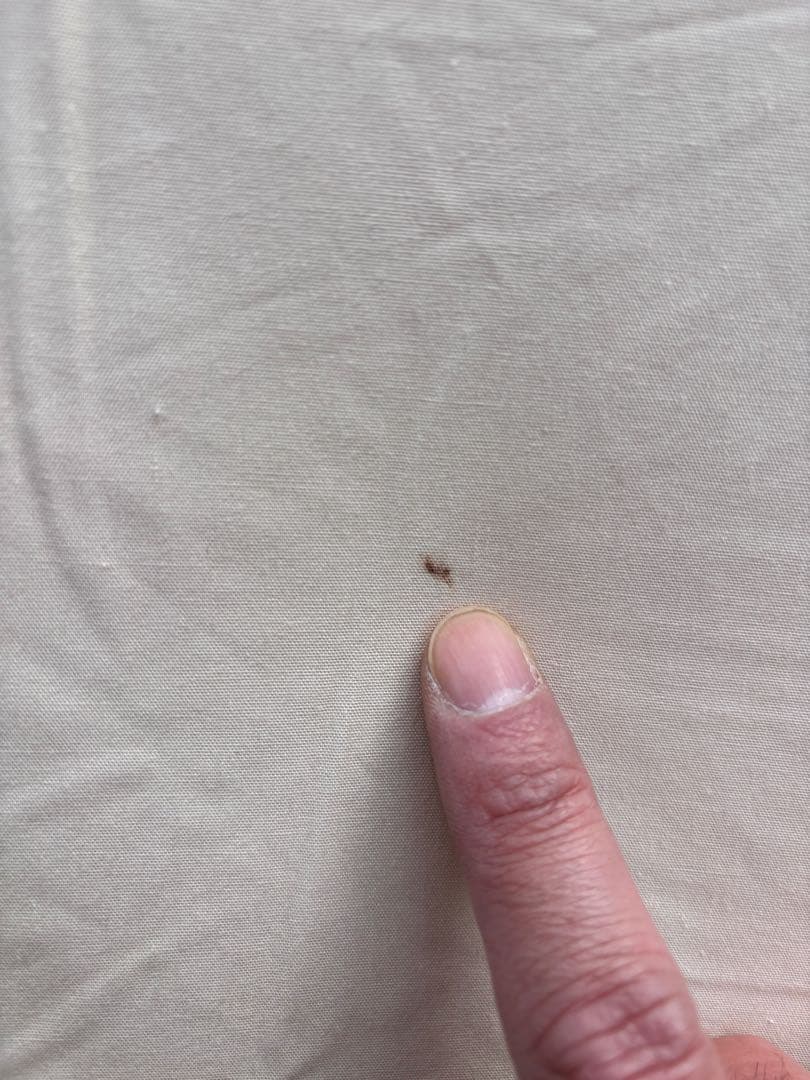 memes'more Bello400（専用グランドシート付き）