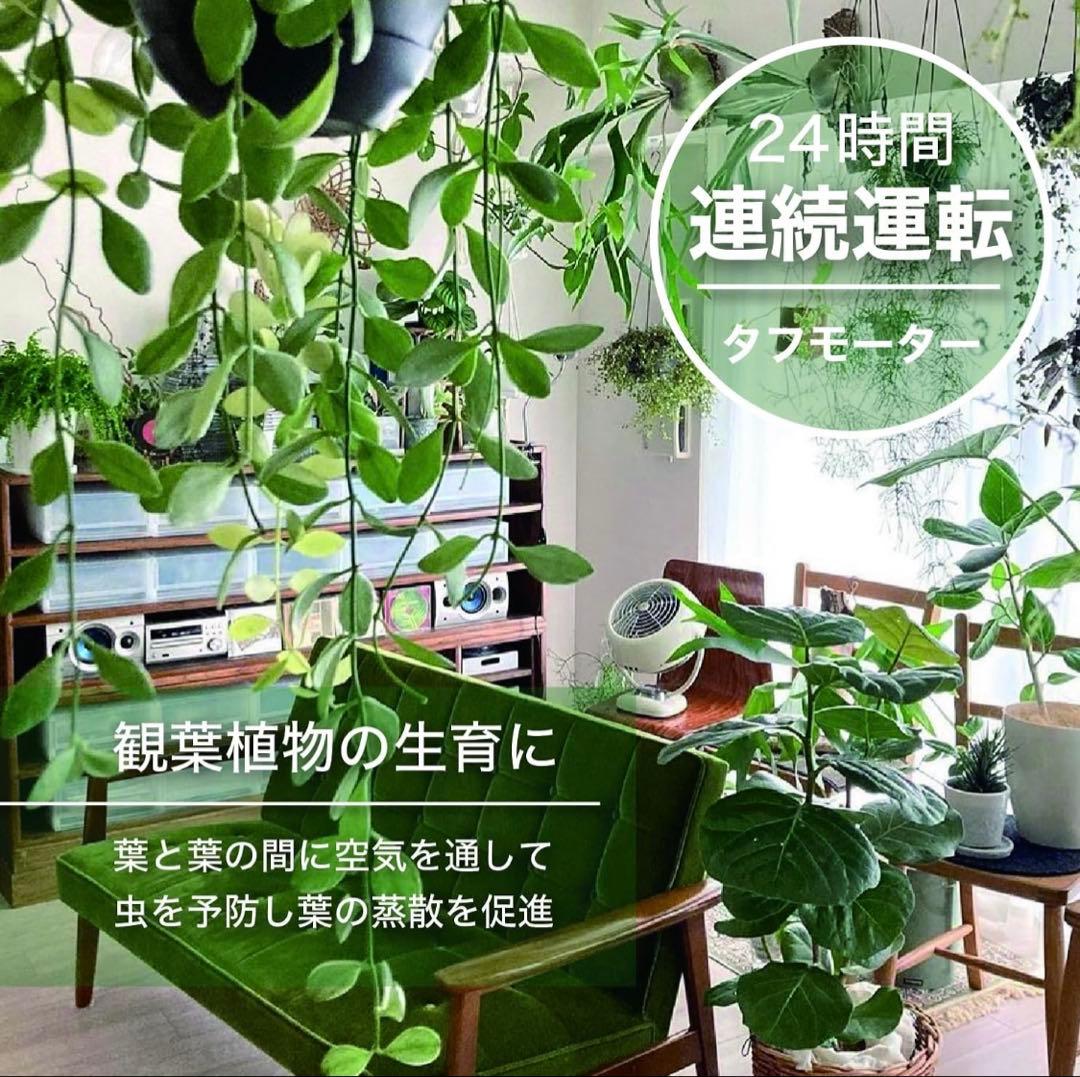 ボルネードサーキュレーター　ジュニア　ヴィンテージホワイト