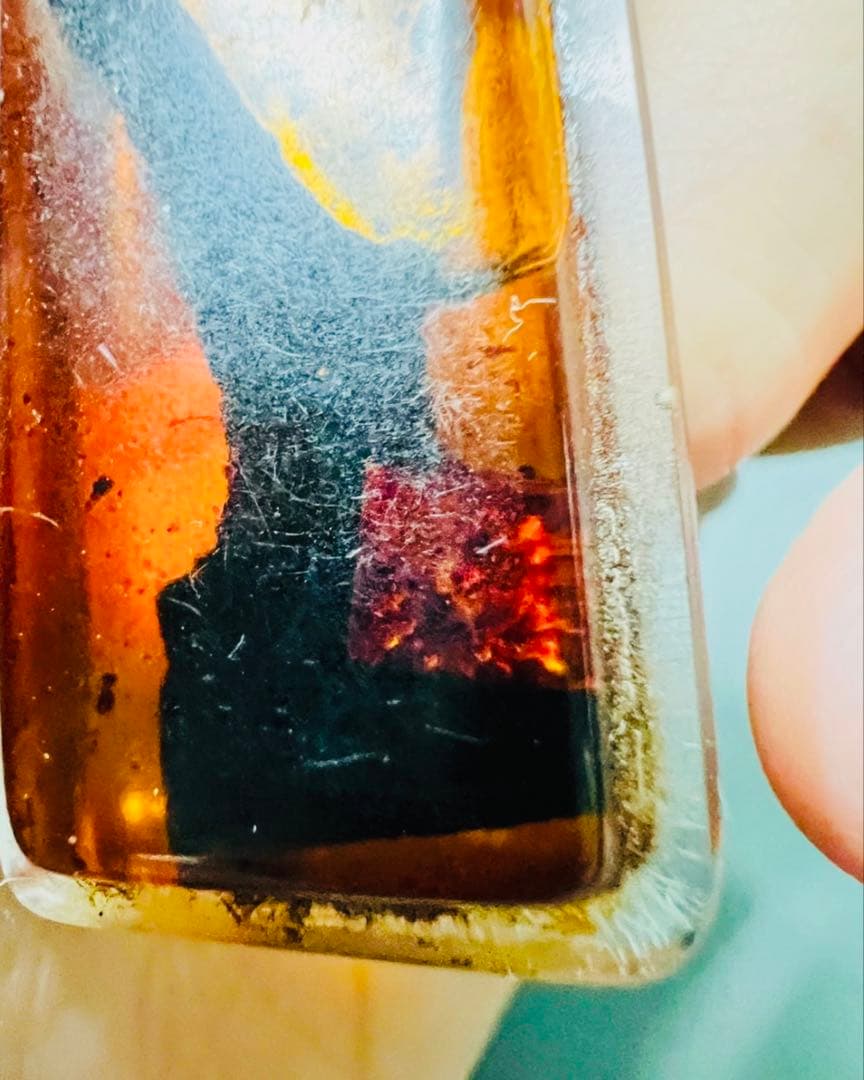 【限定1】入手困難 カマーントン　ポルセーン（神秘の黒木）富、幸運、プラクルアン