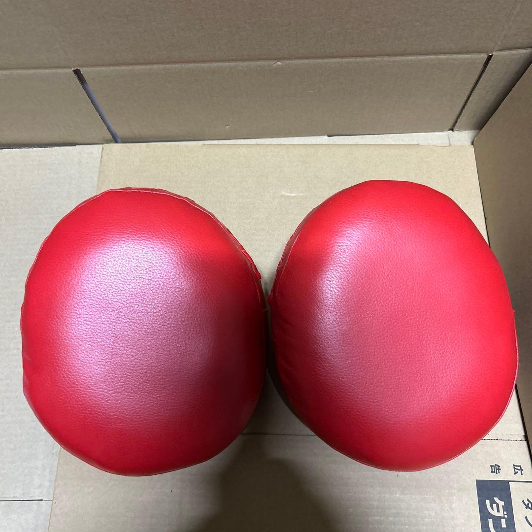 マルチパンチングミット [PM68-RD]