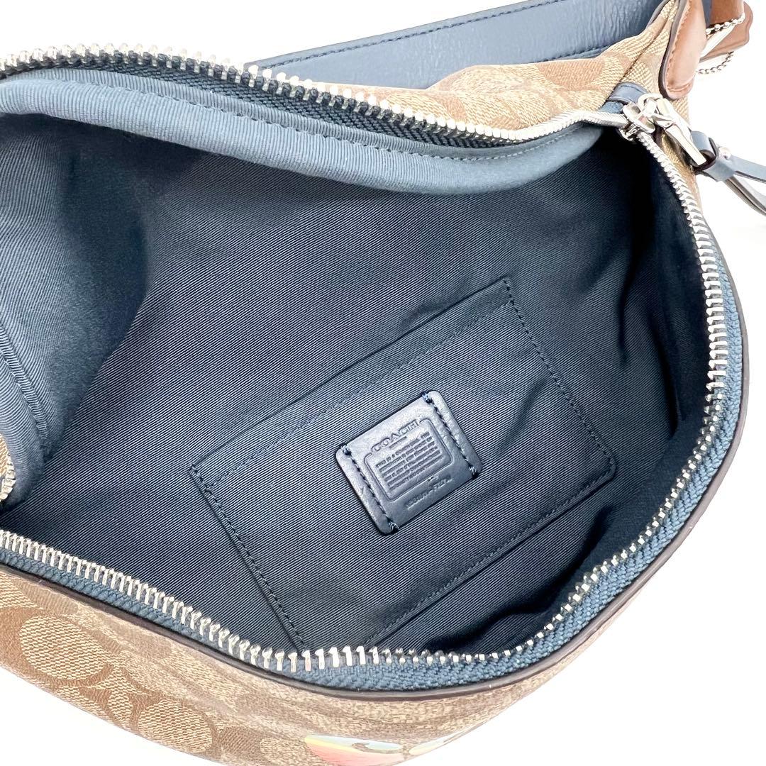 未使用級✨コーチ　ボディバッグ　ショルダー　シグネチャー　レインボー　ブラウン