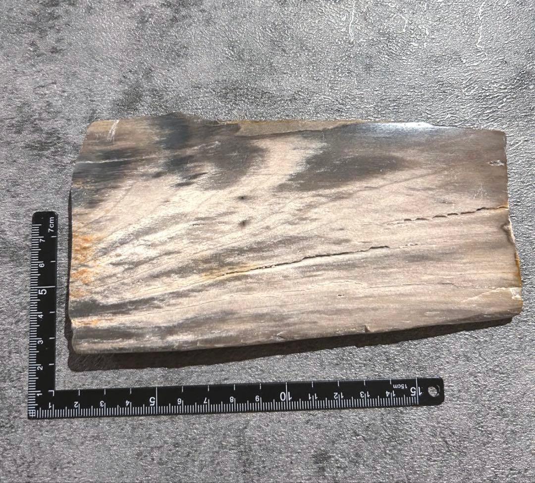 天然石オブジェ／化石化した木片（結晶あり）インテリア・撮影小