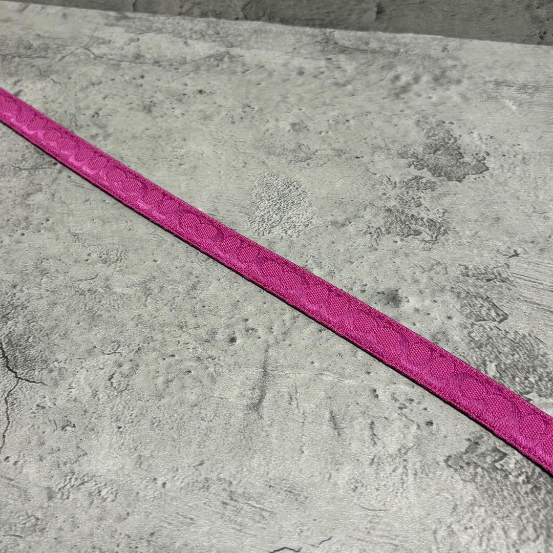 希少✨️Coach Signature Leather Belt in Pink