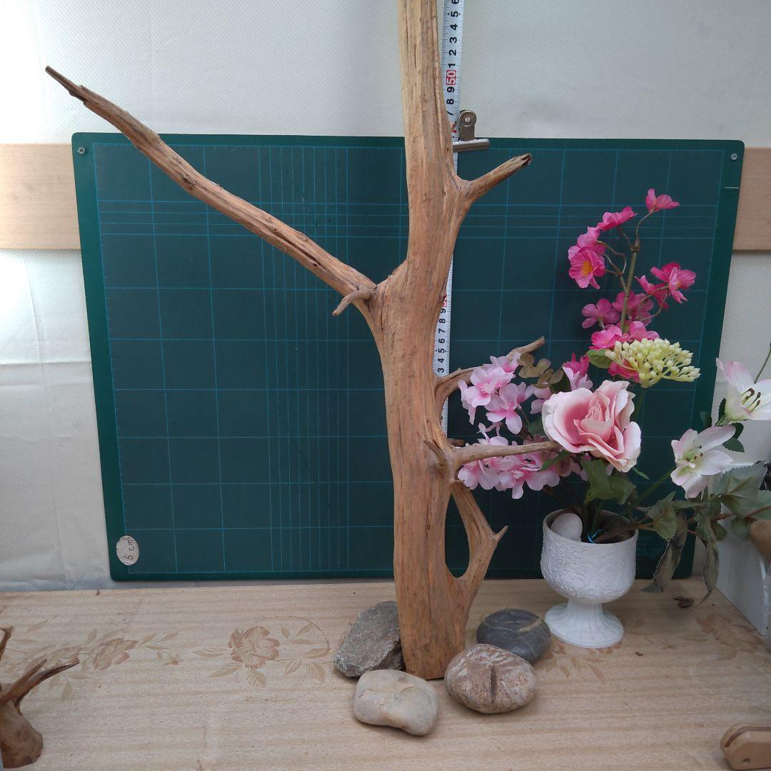 ８３５天然流木生け花素材７７cm