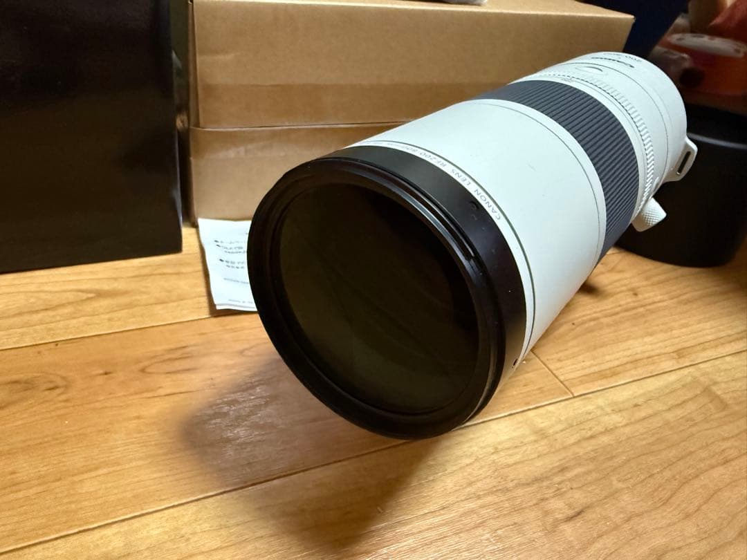 Canon RF 200-800mm f6.3-9IS USM レンズ