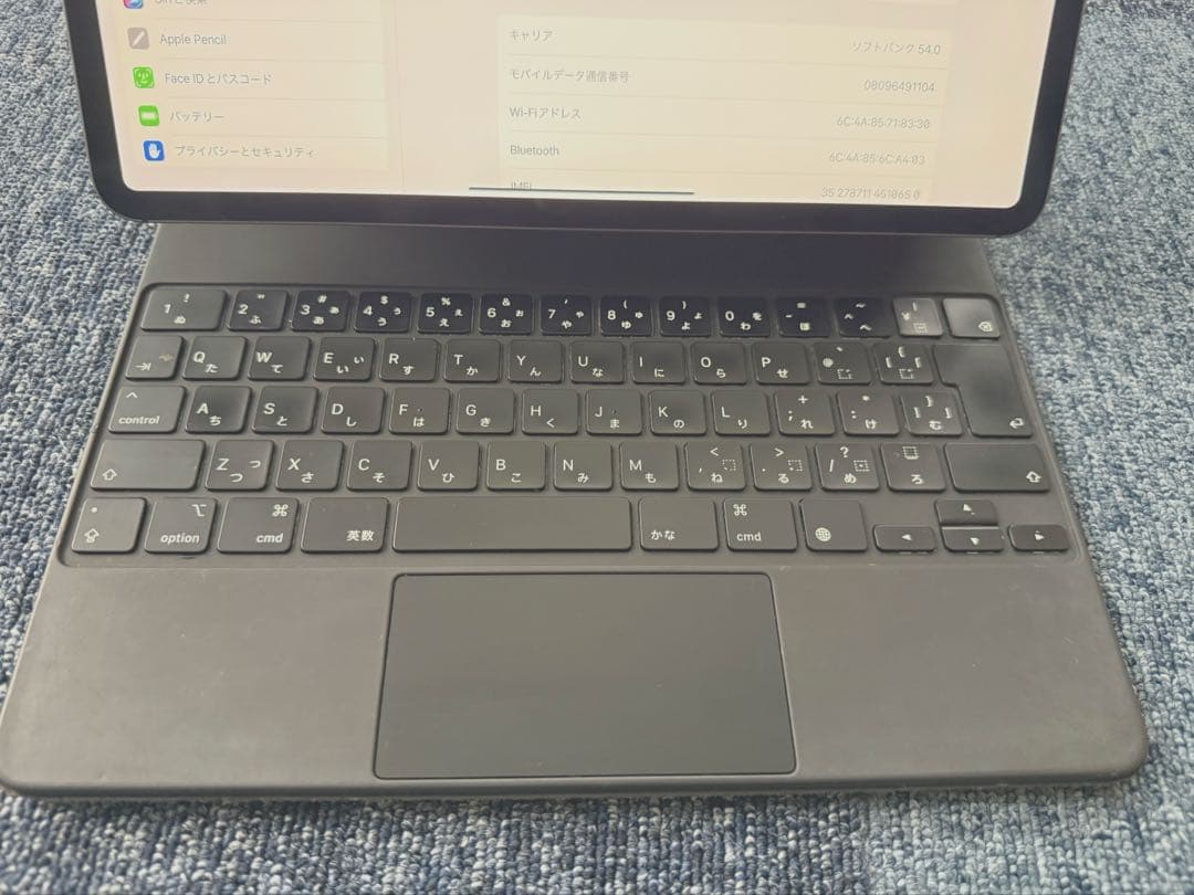 iPad Pro 12.9 第四世代　ペンシルセット