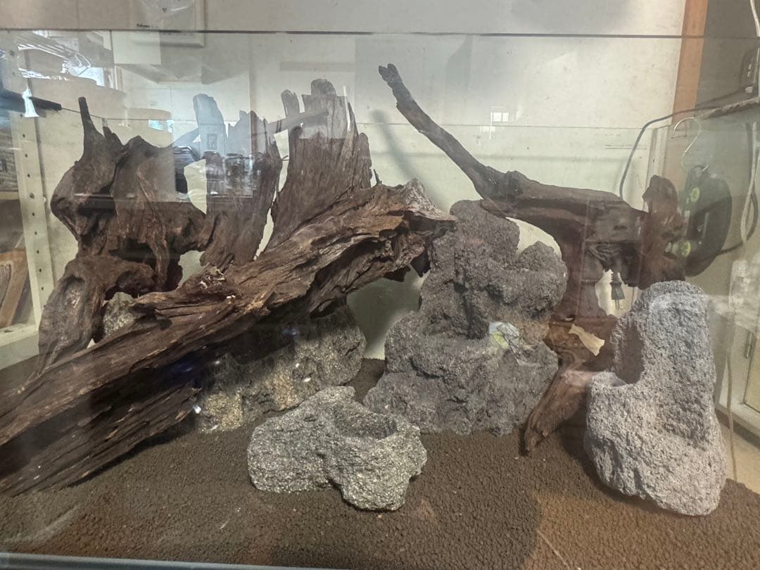 水槽用流木と雲山石セット