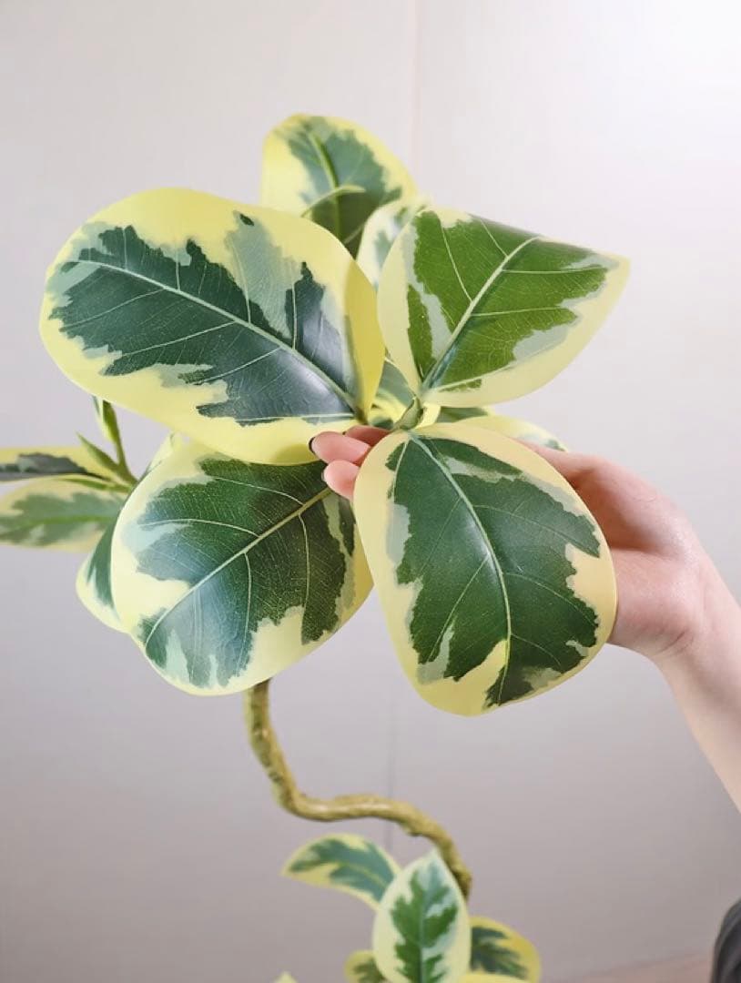 光触媒　人工観葉植物　ウォールグリーン　フェイクグリーン　ツイストアルテシマaj