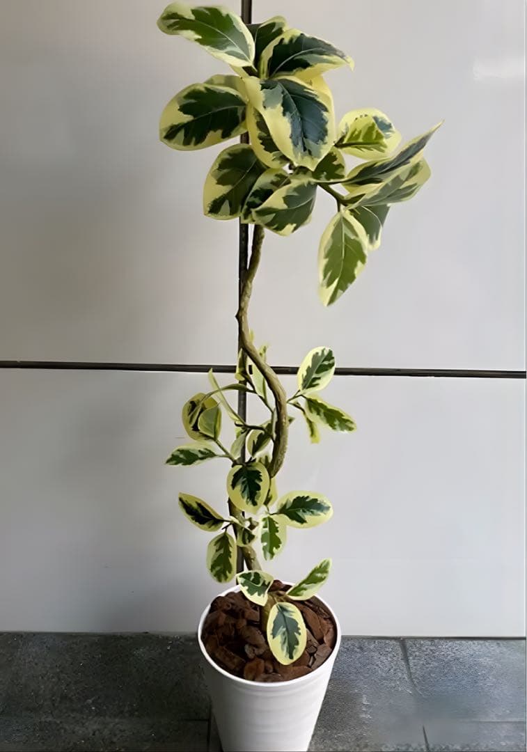 光触媒　人工観葉植物　ウォールグリーン　フェイクグリーン　ツイストアルテシマaj