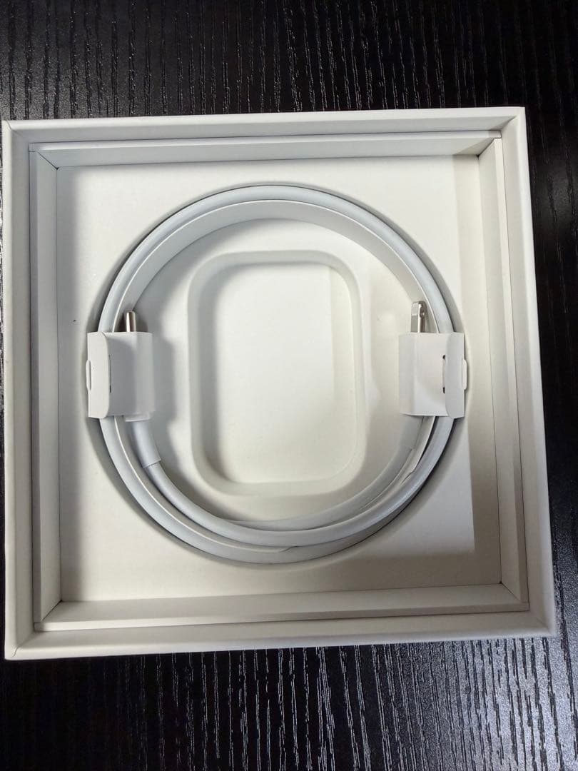 AirPods Pro２ Lightning　Aulumu A19 ケース