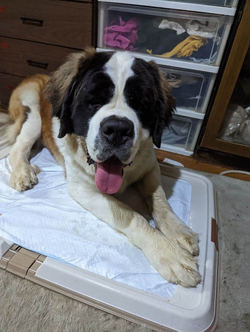 たまお様筆文字専用