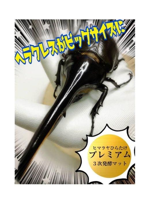大人気！雑虫がわかない！完全室内製造！極上！プレミアム発酵カブトムシマット　8袋