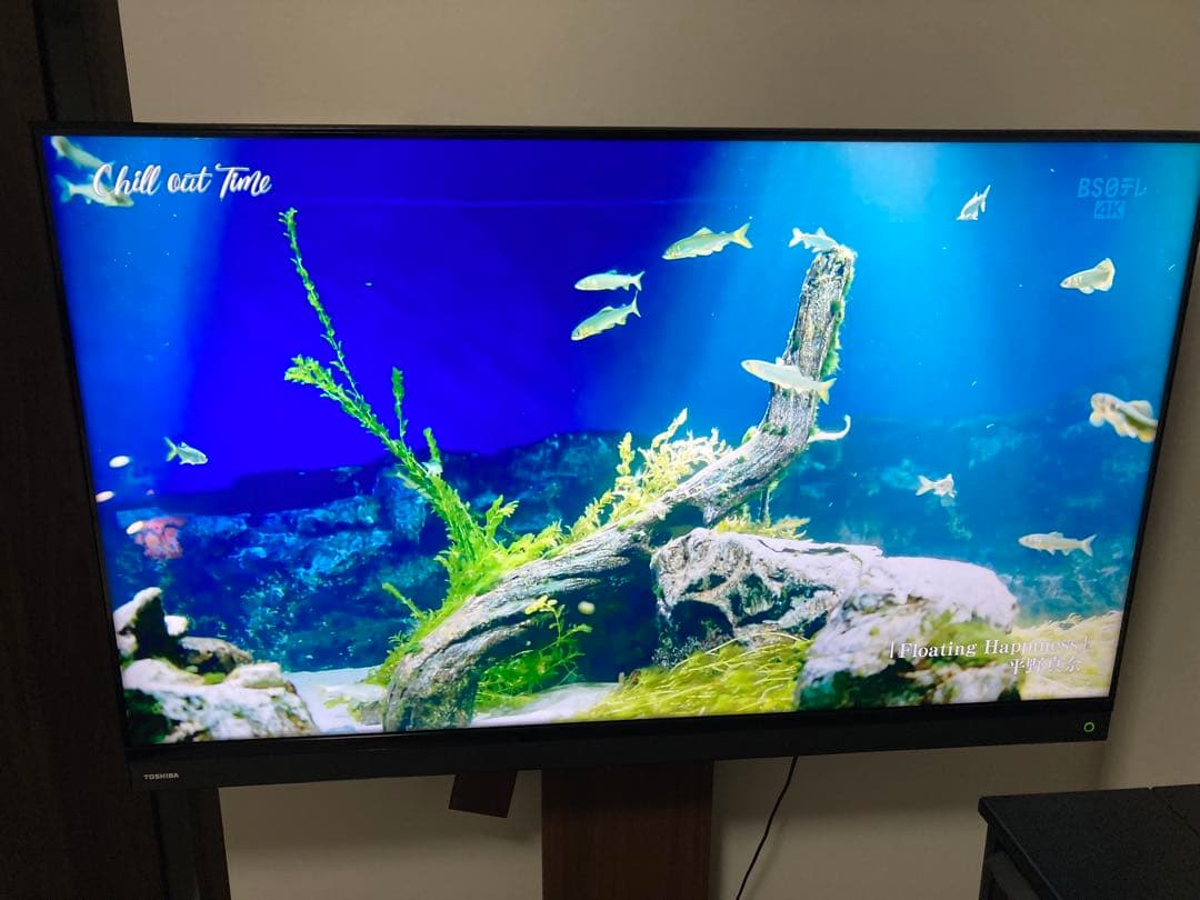 TOSHIBA 東芝 液晶テレビ REGZA 50BM620X