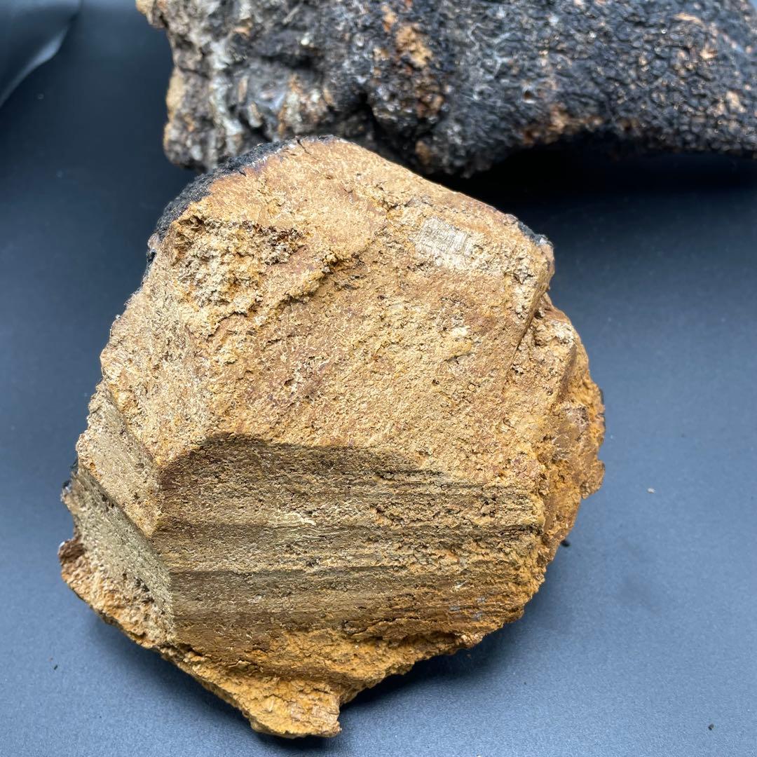 カバノアナタケ 原塊 2点セット 計約2.15kg（1.5kg＋0.65kg）