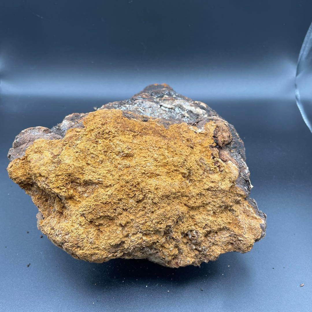 カバノアナタケ 原塊 2点セット 計約2.15kg（1.5kg＋0.65kg）