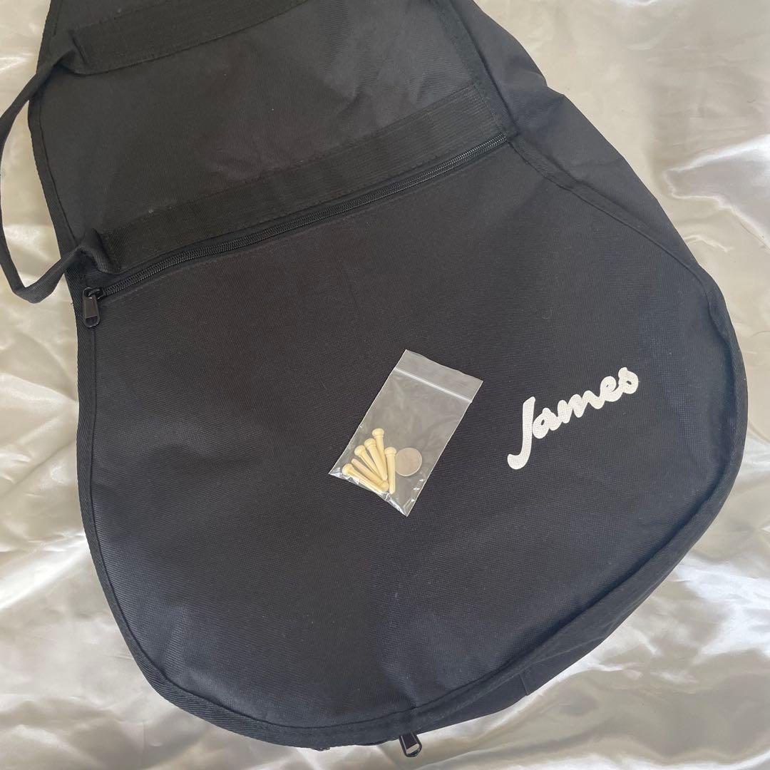 ✨James j-500a/ova nat✨　エレアコ仕様　ソフトケース他付き