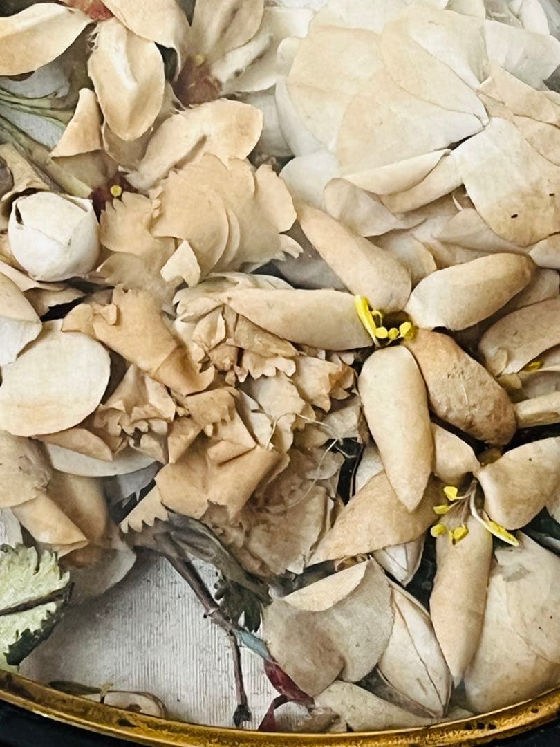 アンティークフランスナポレオンIII グローブドマリエ湾曲ガラスフレーム布花