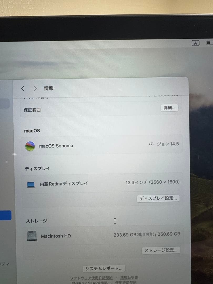 美品 充放電87回　MacBook Pro 13inch 2019