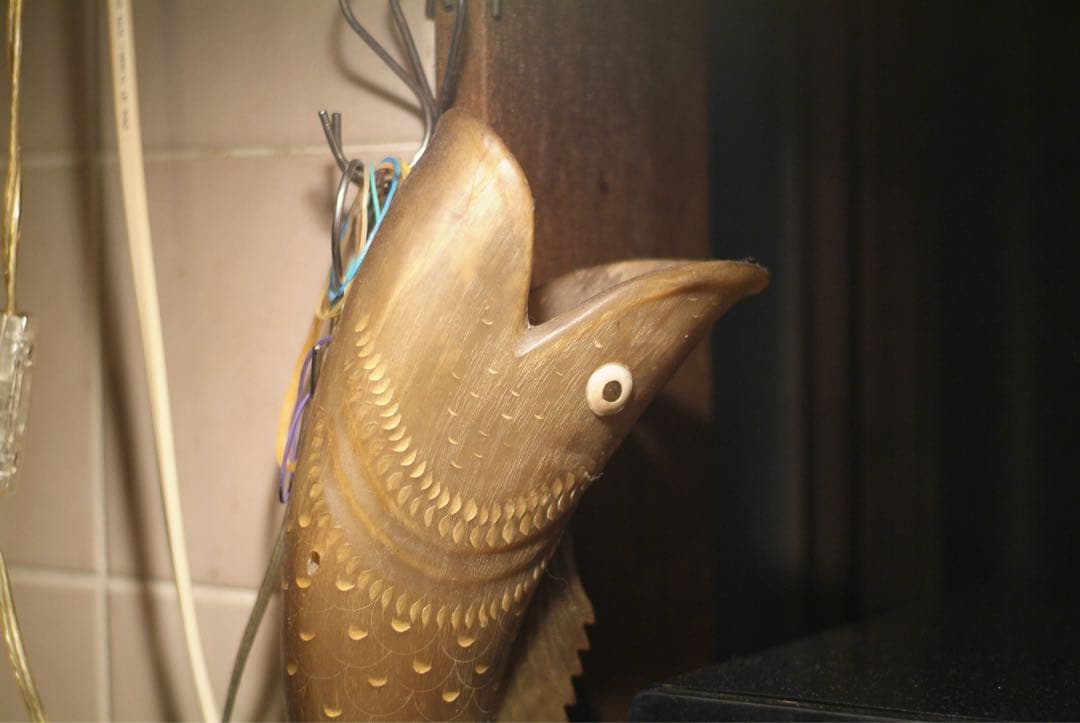 FUJIFILM FinePix S3 Pro 動作品 CCD