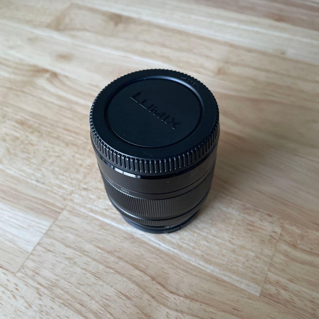 ヤマダ⭐︎ヤマシタ　LUMIX G VARIO 35-100mm レンズ