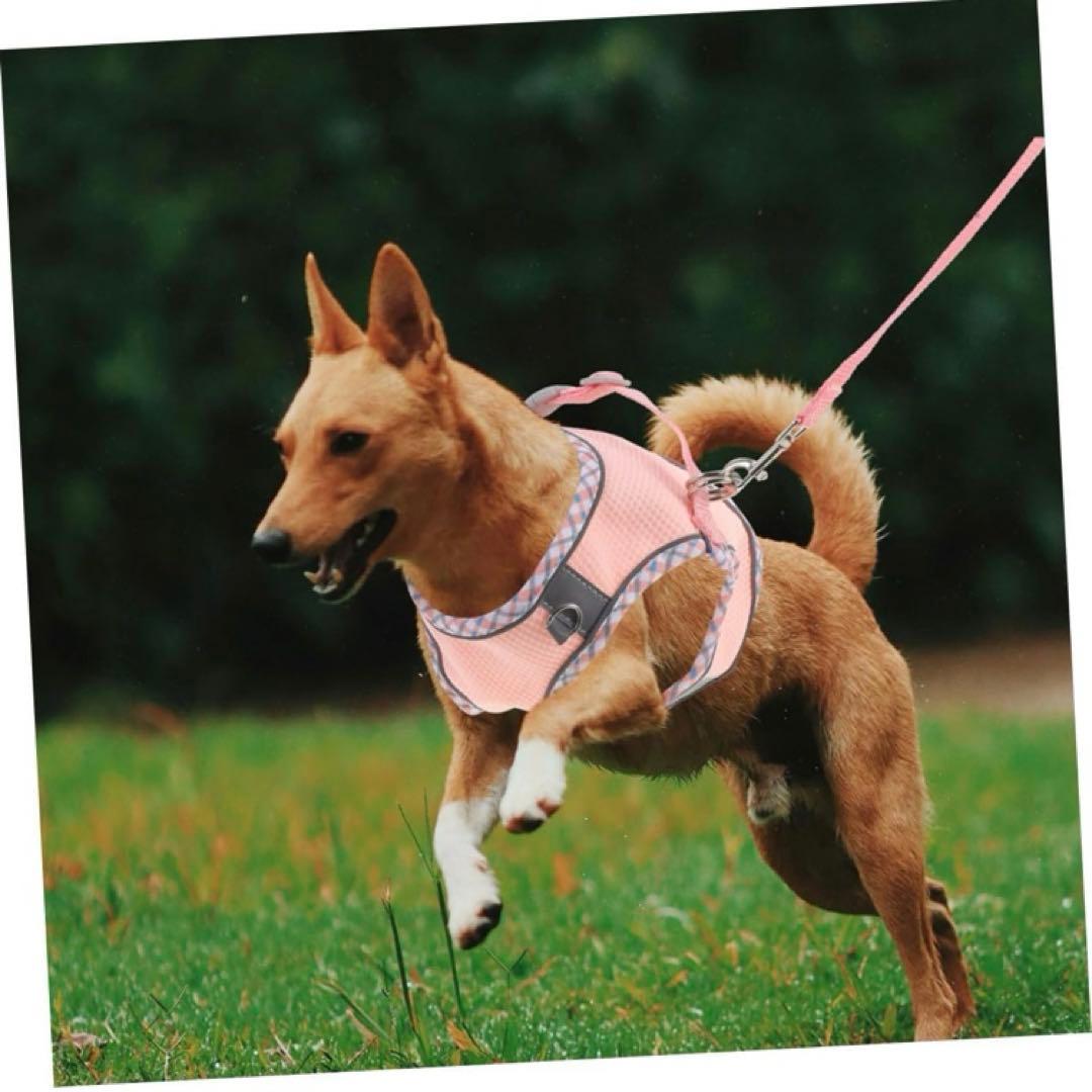 小型犬用 ハーネス リード セット ピンク ベストタイプ 新品 未使用