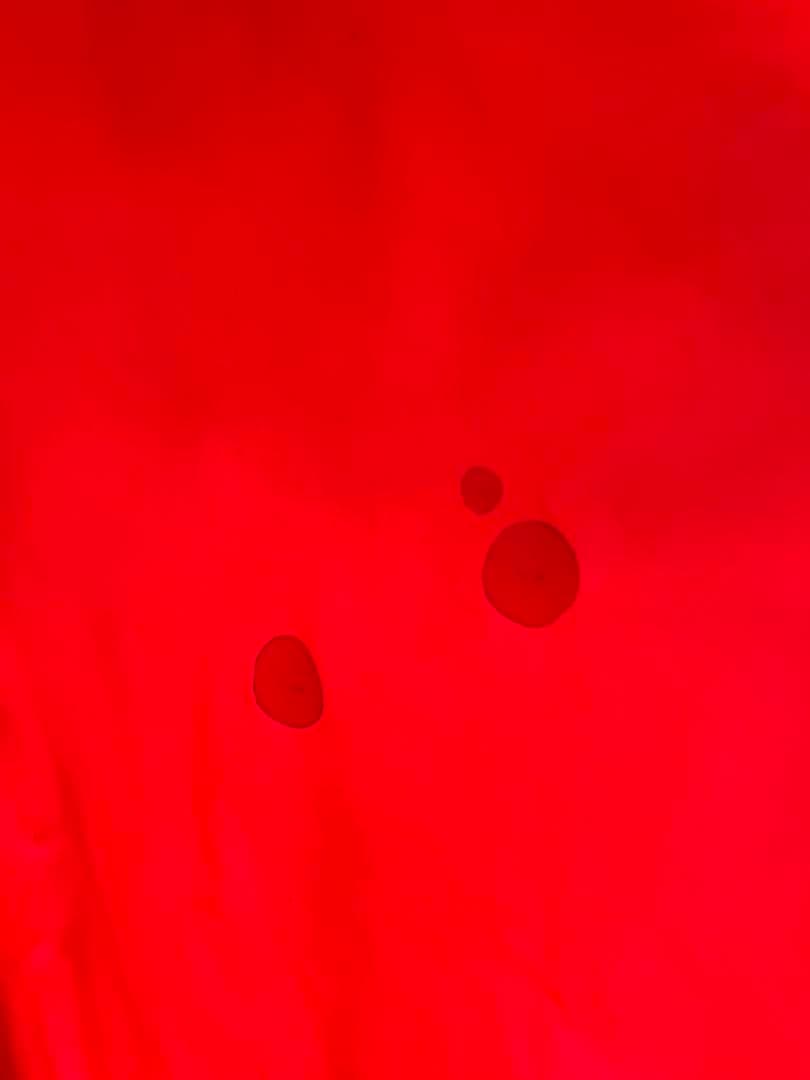 Moss Stardome III 1996年シアトル