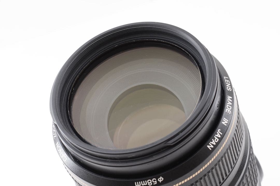 動作品 キャノン Canon EF 75-300㎜F4-5.6 IS USM