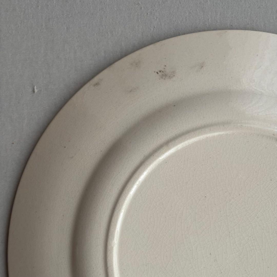 フランスアンティーク ショワジールロワ POMPADOUR ディナープレートC